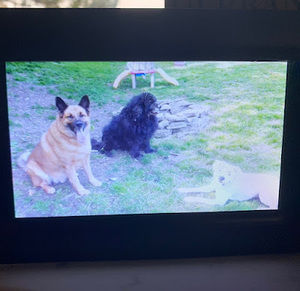 Meet your Posher, Annabelle